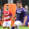 CVEKTOVIC, Fiorentina squadra giusta per Jovic