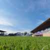 Fiorentina al lavoro al Viola Park in vista dell'Atalanta, le foto dell'allenamento: