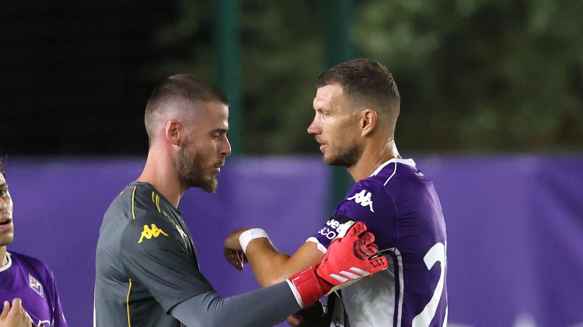 Dzeko, due facce tra club e Nazionale: ora Pioli ha bisogno dei suoi gol