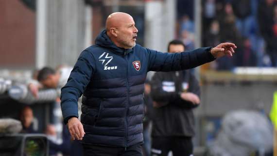 Colantuono: "Pioli tra i migliori allenatori, il Milan se la giocherà con Inter, Napoli e Juve"
