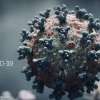 Aggiornamento Coronavirus: Parma la terza provincia emiliana con più nuovi contagi