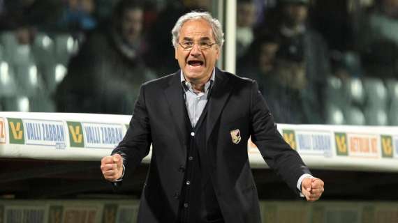 Mutti: "Il Palermo poteva stare con Parma e Como, ma ormai è andata così"