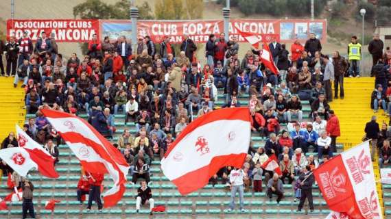 Di Nicola: "Prestazione importante dell'Ancona contro il Parma"