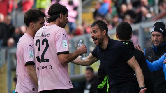 Zazzaroni: "Palermo, le società che dipendono dalle piazze sono perdenti. Dionisi ha le sue colpe"
