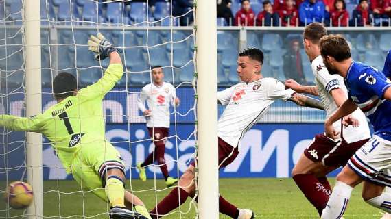 Curiosità e statistiche di Sampdoria-Torino