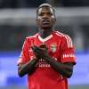 TA - Florentino Luis nel mirino dell'Atalanta: sfida a Juve e Napoli per il talento del Benfica
