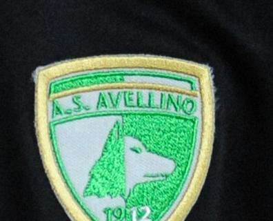 Avellino-Venezia, Le pagelle: Pisacane già in forma campionato, Arrighini instancabile