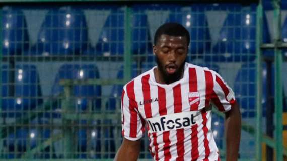 TuttoBari - Diakitè gradisce Bari. Di Noia a fuoco lento. Rolando ha detto sì, la Reggina detta le condizioni