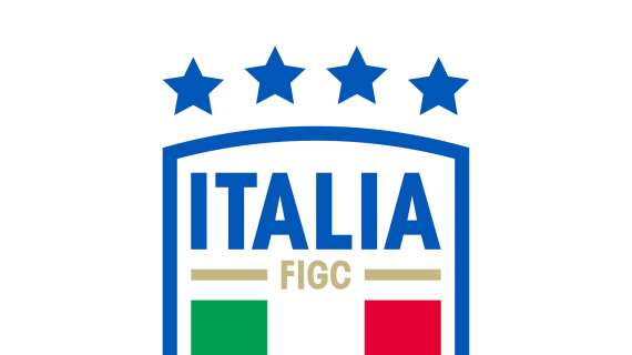 Riforma FIGC: la Lega Pro perde un consigliere. Ma alla Serie A non va comunque bene