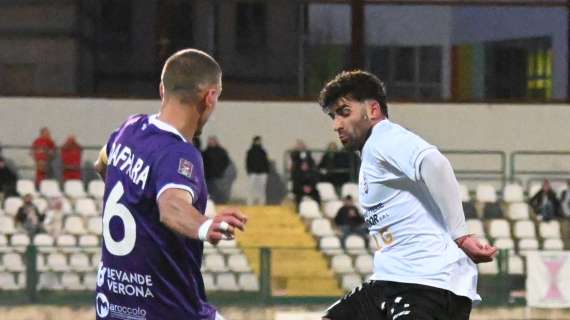 V. Verona, Daffara: "Stagione positiva, meritavamo classifica migliore"