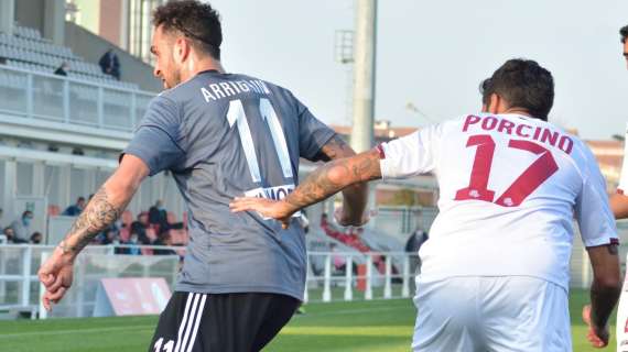 NOTIZIA TC - Porcino verso il Catanzaro: affare in dirittura d'arrivo