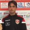 Bari, contatti costanti con la Juventus per Alessandro Sersanti