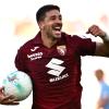 Calaiò: "Simeone può arrivare in doppia cifra, ideale per una piazza passionale come Torino"