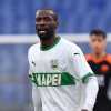 Le probabili formazioni di Sassuolo-Lecce: conferma per Obiang, rientra Krstovic