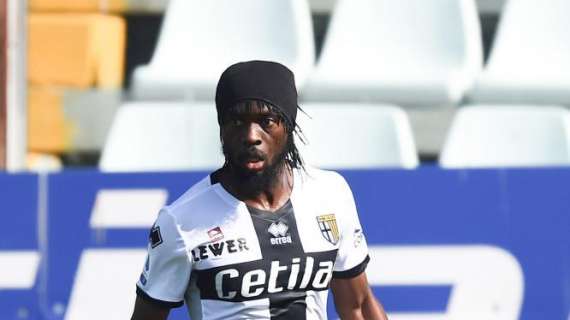 Parma, Gervinho su Instagram: "Adesso concentrati sulla partita di coppa"