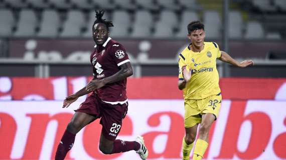 Verona-Torino: i precedenti al Bentegodi, 0-0 e 0-1 i risultati più frequenti