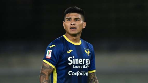 Verso Frosinone-Verona: rischio assenza per Dawidowicz e Amione