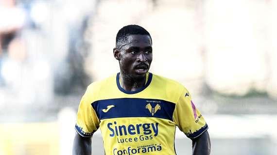 Hellas Verona - Atalanta: la probabile formazione dei gialloblù