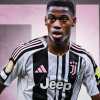 ESCLUSIVA TJ - Tre domande a Charley (France Blue) su David: "I tifosi lo ameranno per i gol, ha un carattere zen e non si è mai infortunato. La Juve prende un rapace d'area di rigore"