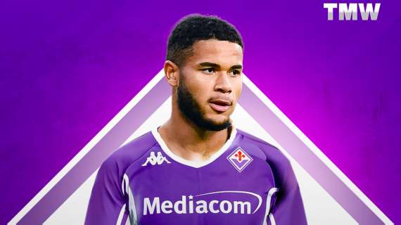 UFFICIALE - Fiorentina, colpo Sohm: arriva dal Parma