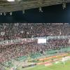 Palermo-Modena, il dato spettatori