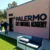 Palermo, il report odierno
