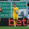 Serie B, Palermo-Carrarese: le probabili formazioni