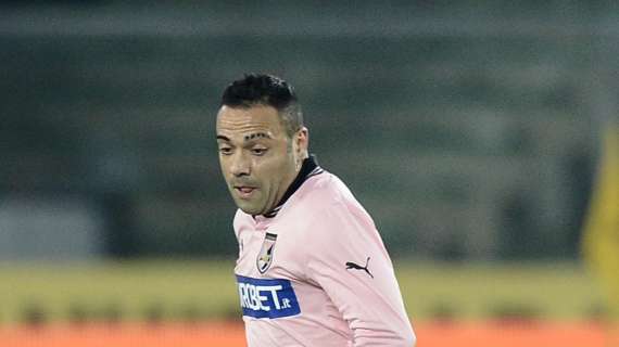 Ex Palermo, Miccoli: "I rosaneri ai play-off potrebbero fare bene, anche se è difficile"