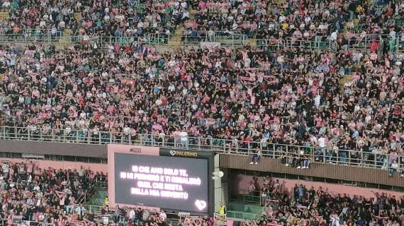 Palermo-Salernitana, il dato spettatori