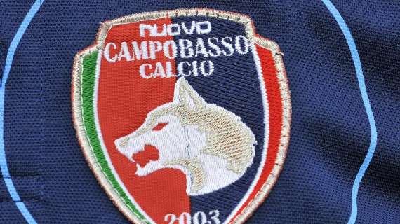 Il Campobasso è ad un passo dal ritorno in Serie C (nel Girone C)
