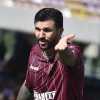 Enigma centrocampo per la Salernitana, scelte fatte negli altri reparti