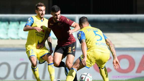 SALERNITANA: la situazione aggiornata di gol e marcatori granata