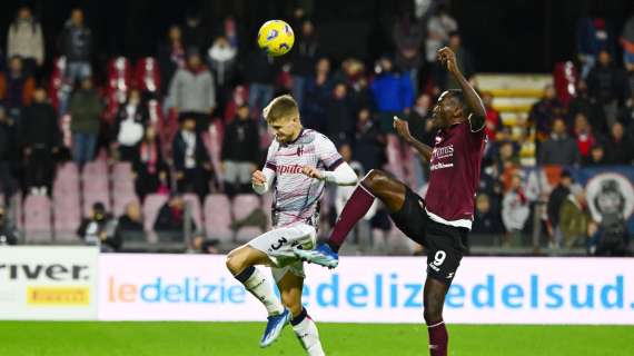 Bologna-Salernitana, alcune statistiche e curiosità sul match